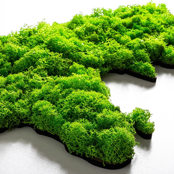 Wallity World Map Escultura de pared Verde